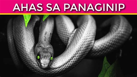 simbolo ng ahas sa panaginip meaning|Panaginip na Pumatay ng Ahas: Kahulugan & Interpretasyon.